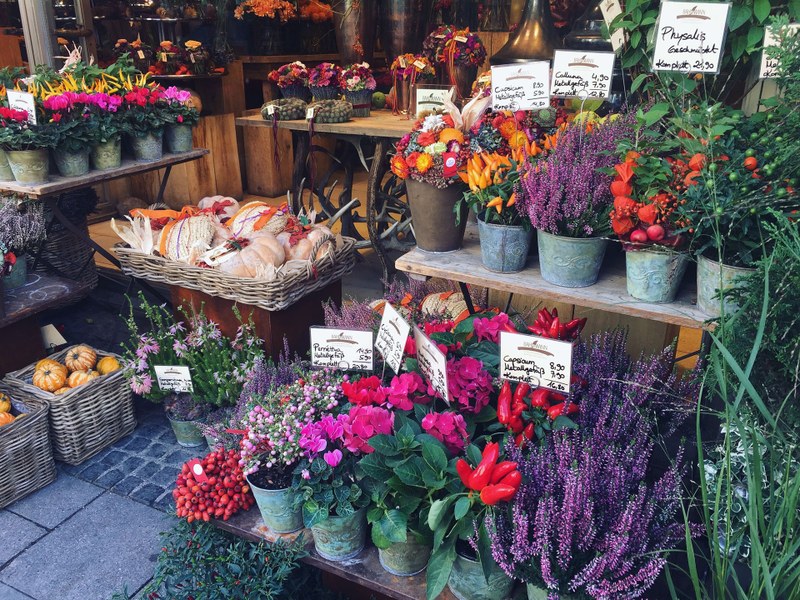 Attività economiche e commercio