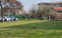 Parco di Via Anderlini - iniziati i lavori preliminari di riqualificazione