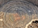  Particolare del secondo mosaico trovato da Crespellani e riscoperto nel corso degli scavi del 2010-2011 (V secolo d.C.). L’immagine raffigura un kantharos, un elegante vaso panciuto.