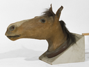 La testa del cavallo di Garibaldi in mostra alla Camera di Commercio