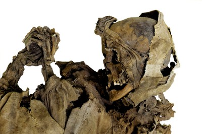 Mummia proveniente dalla Chiesa di Roccapelago, sec. XVIII (?). 
