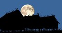Halloween luna piena al parco della terramara.jpg