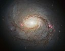 mese della scienza 2017 galassia a spirale.jpg