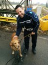 La Municipale salva un cagnolino al Ponte dell'Uccellino durante la piena del Secchia
