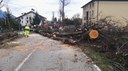 Il Gruppo comunale dei volontari di protezione civile di Modena in aiuto a Feltre dopo il maltempo in Veneto
