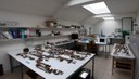 I resti scheletrici in studio all’interno del Laboratorio di Antropologia fisica e DNA Antico dell’Università di Bologna.jpg