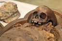 Il cranio scheletrizzato della mummia di bambino dei musei civici di Modena.jpg