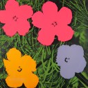Andy Warhol Flowers  1970 serigrafia Milano Collezione Consolandi