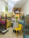 Caritas Baby Hospital a Betlemme.jpg