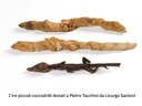 tre coccodrillini imbalsamati riportati a Modena da Pietro Tacchini in seguito donati al museo civico, ora parte della collezione.jpg
