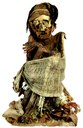 Mummia proveniente dalla necropoli di Ancòn in Peru conservata al Museo Civico di Modena nella sezione etnologica