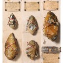 Primordi: pannellino con manufatti in selce paleolitici acquistati da Boni per il Museo alla fine dell'Ottocento