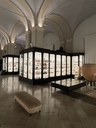 Museo Civico, la sala dell'archeologia con la nuova illuminazione