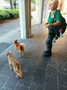 I due cani salvati con una guardia zoofila di FareAmbiente